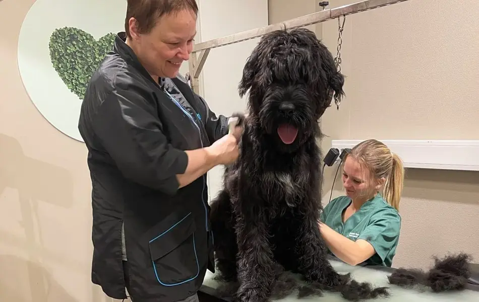 TS_Storo_Artikkel_Dyrenes_Jul