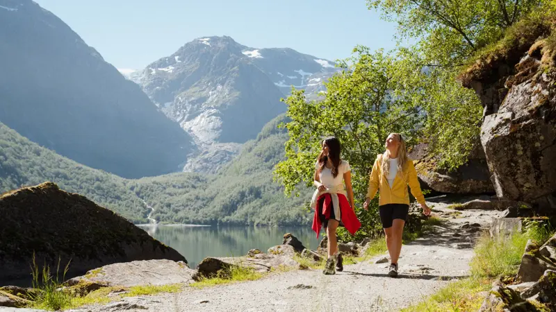 Consent for Martine Olsen expires on 04.09.2026.