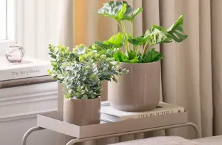 kremmerhuset-potter-uke5-3.2