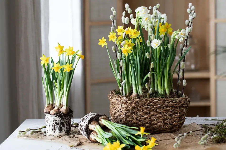 Mester Grønn Paskegruppe_kurv_1920x1080.jpg