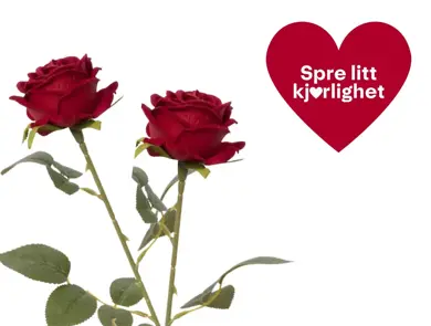 Spre litt kjærlighetstilbud