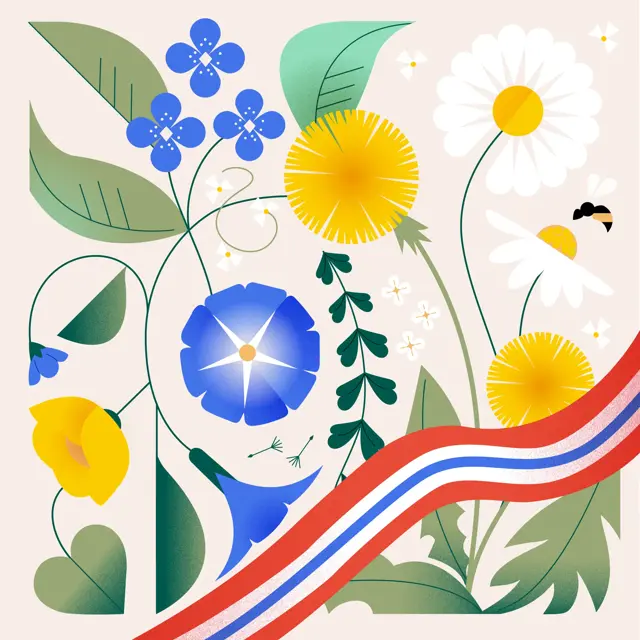 Kampanjebilde nettside