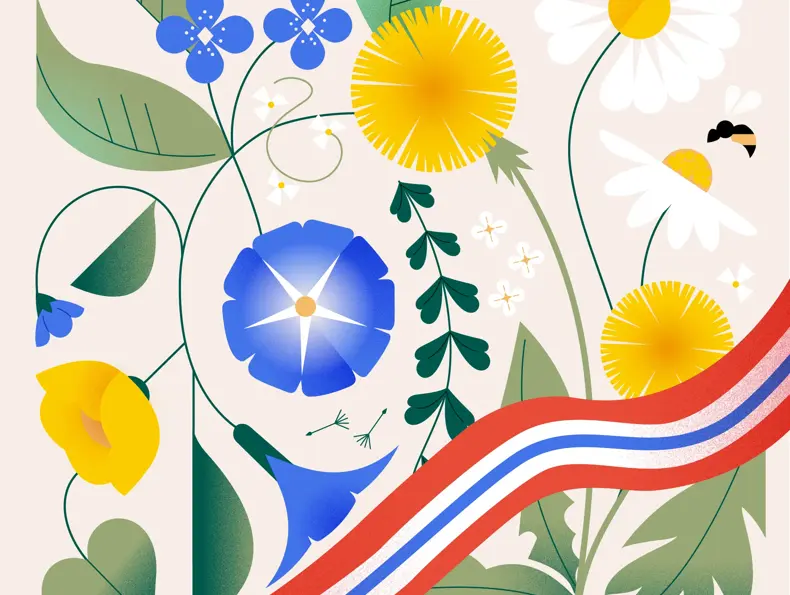 Kampanjebilde nettside