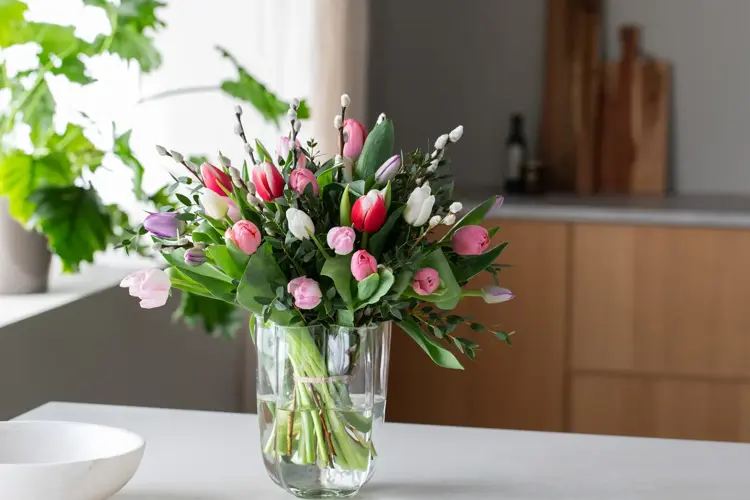 Start det nye året med fargerike blomster fra Mester Grønn.