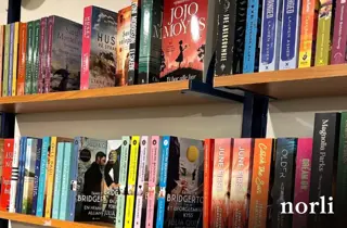 norli-nesten-alle-boker-uke11-4.3