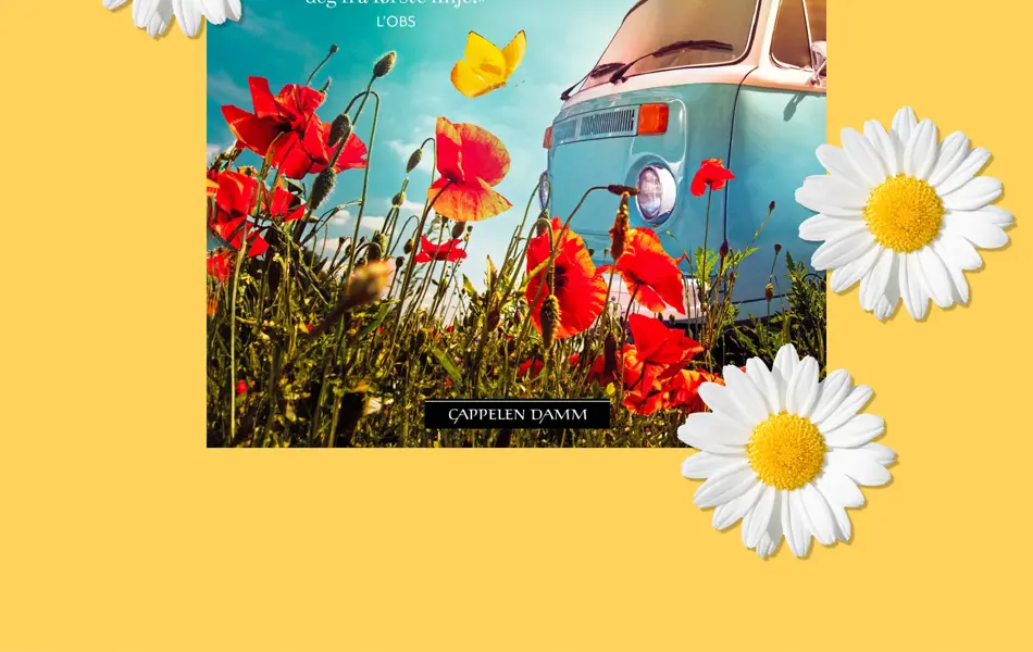 Bøker til sommerles