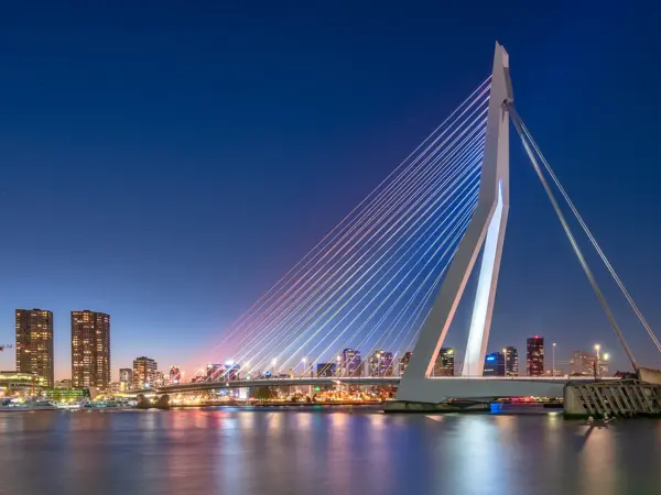 Cityscape and skyline of Rotterdam and Eramsmusbrug at dusk