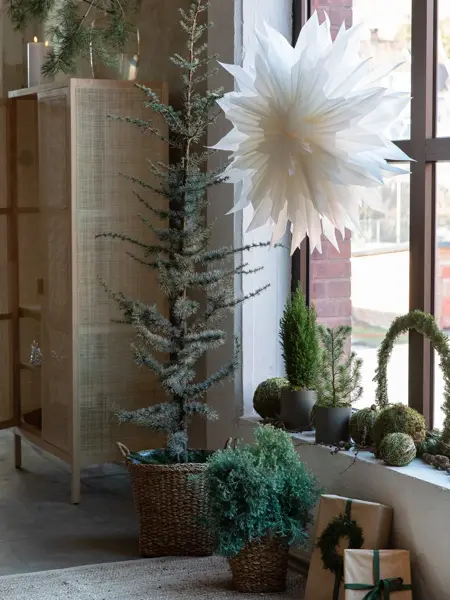 Mester Grønn advent