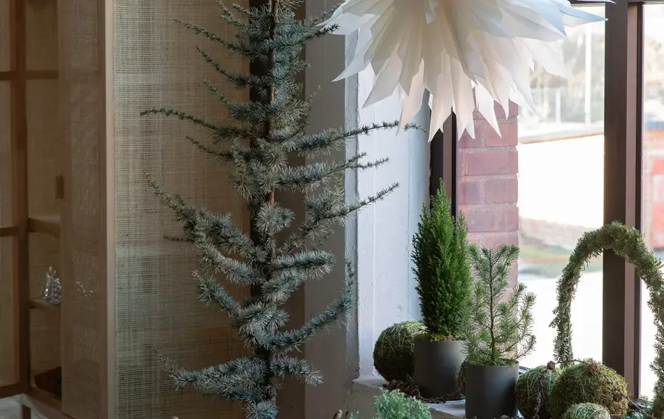 Mester Grønn advent