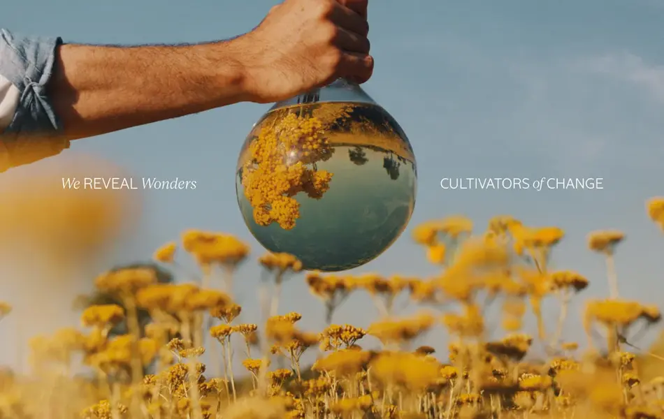 Loccitane butikkbilde 