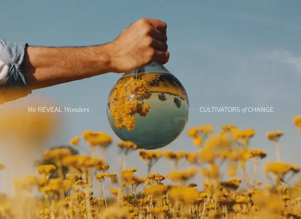 Loccitane butikkbilde 