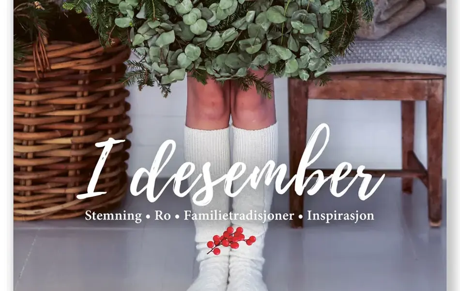 forsiden av boken "i desember"