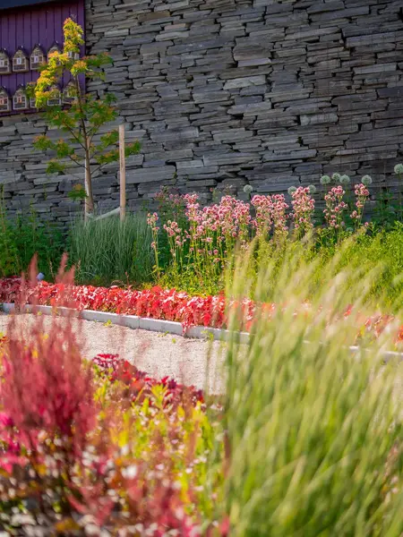 blomster i hagen på Ski Storsenter