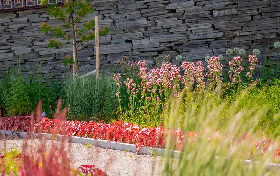 blomster i hagen på Ski Storsenter