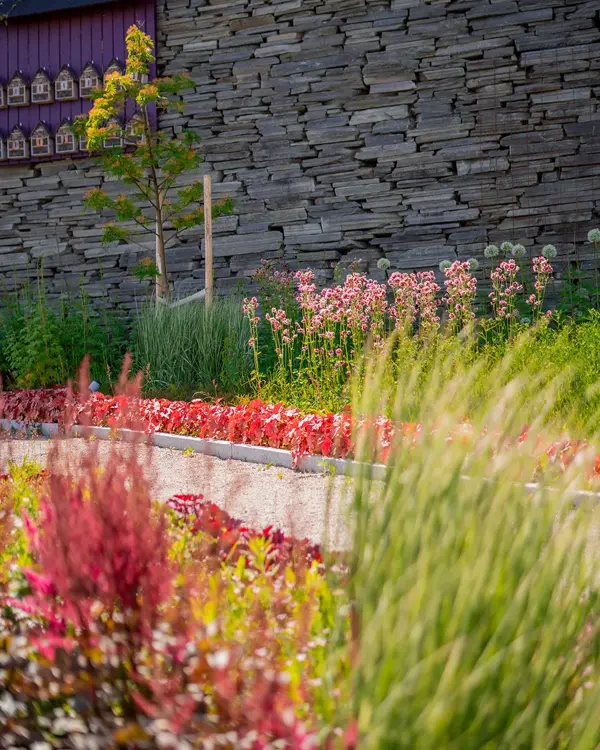 blomster i hagen på Ski Storsenter