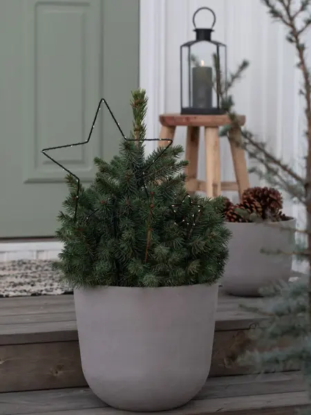 Blomst i blomsterpotte fra Mester Grønn
