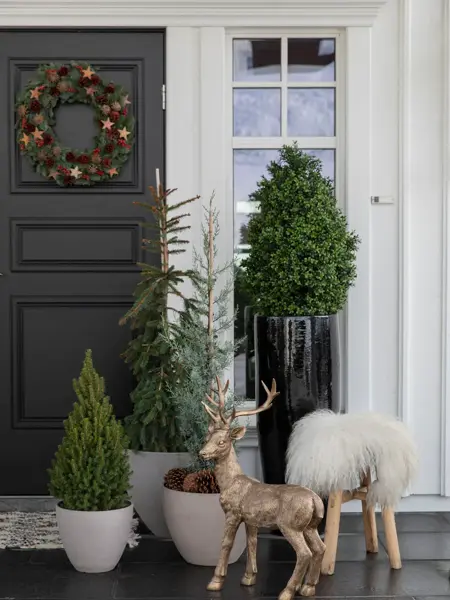 Inngangsparti med vintergrønt