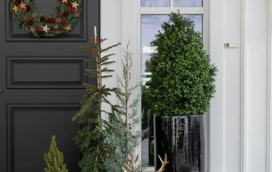 Inngangsparti med vintergrønt