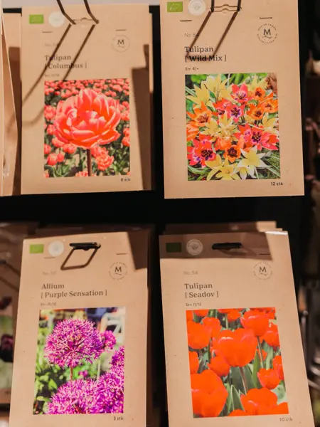 Blomster frø i pakker