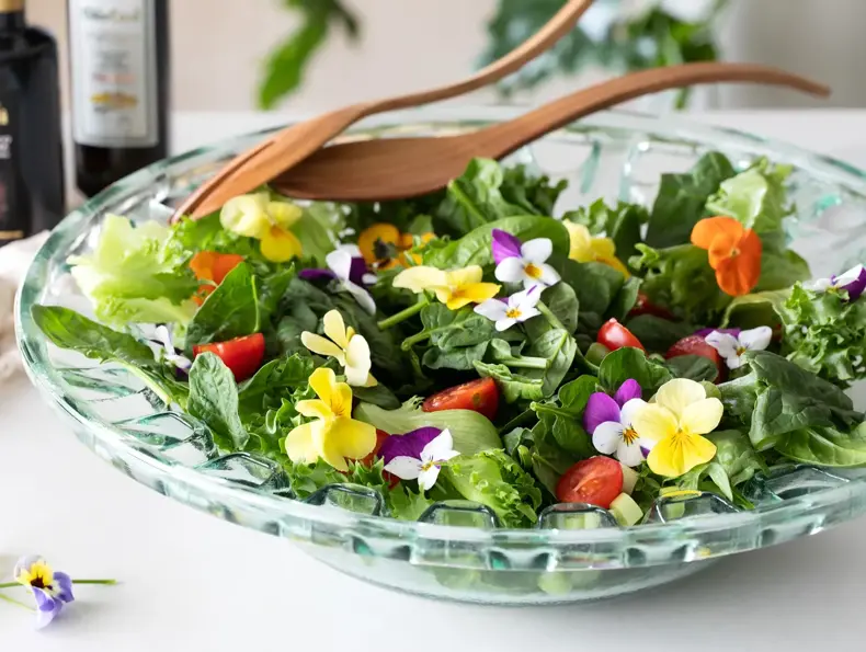 Spiselige og bievennlige Viola fra mester Grønn