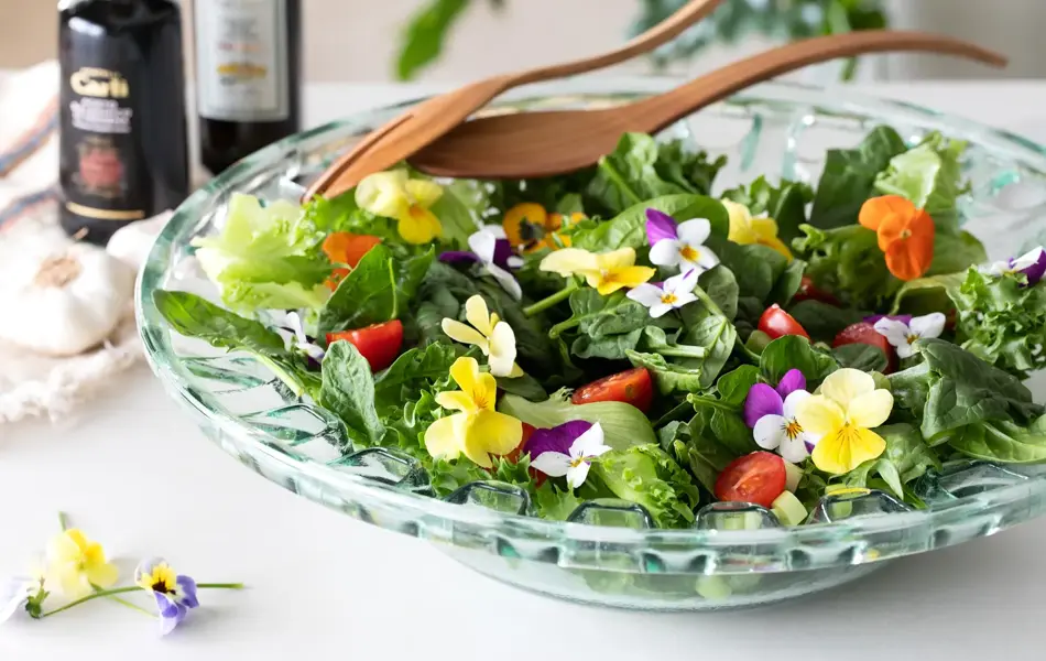 Spiselige og bievennlige Viola fra mester Grønn