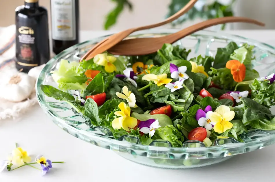 Spiselige og bievennlige Viola fra mester Grønn