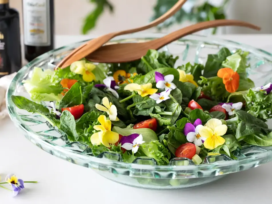 Spiselige og bievennlige Viola fra mester Grønn